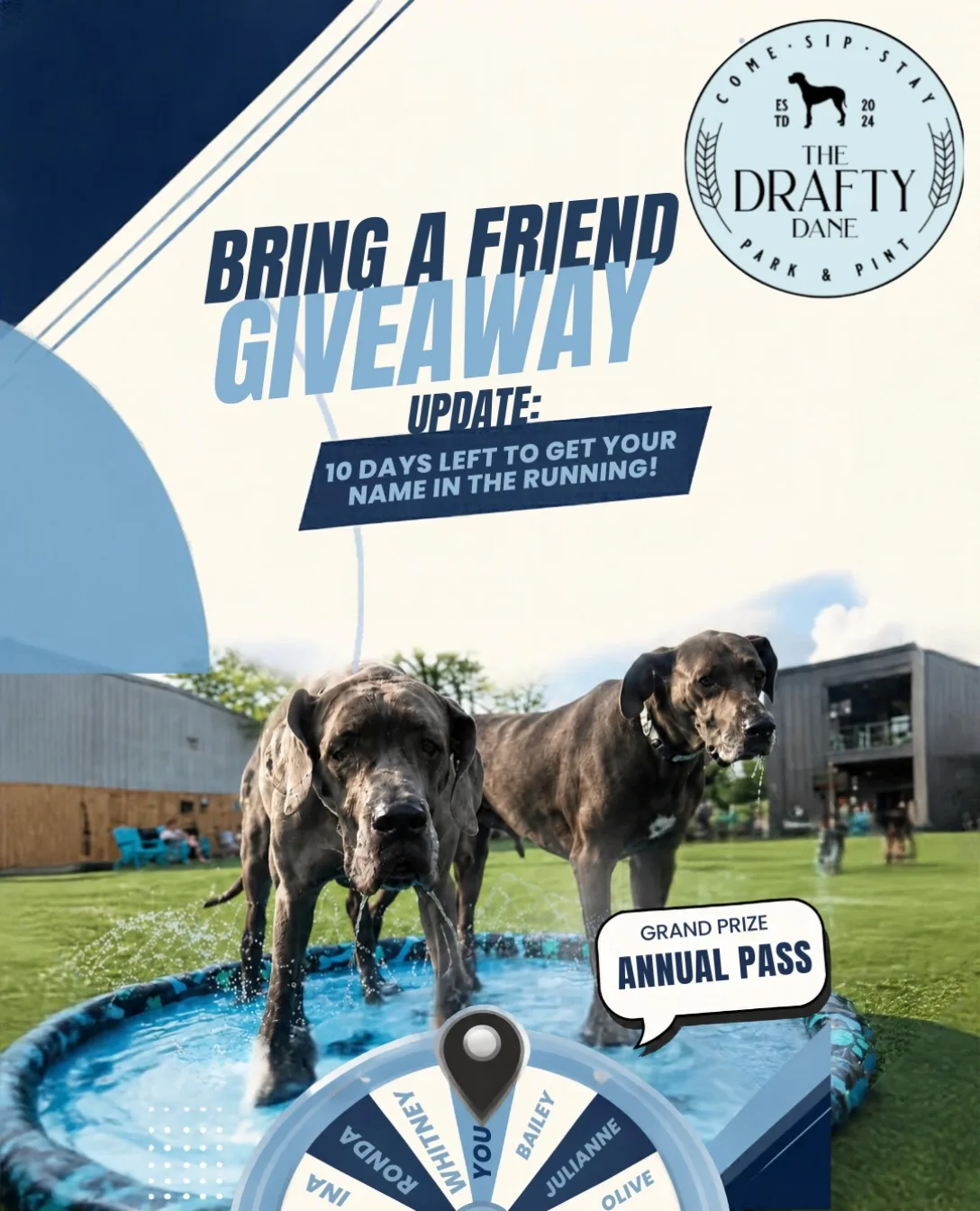 🚨 ‼️ Only 10 days left to enter our “Bring a friend” giveaway! As of now you have a 1 in 8 chance of winning! Bring a friend (and their pup) for their first visit, or tell them to let  us know you referred them when they visit and you will be entered to win an ANNUAL membership to The Dane! A $325 value!! We have a few events left this month that would be perfect timing to bring a friend! 📅 this Friday night we have a live band, Saturday is our Barktoberfest. Then next weekend we have our Neon Zoomies glow party (Fri) and Halloween contest (sat) !! Get the word out and we will see you there!! 🥂🐶2️⃣